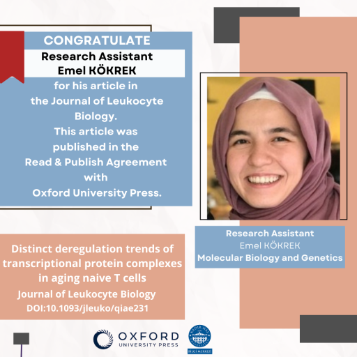 Emel Kökrek’in Oxford University Press’te Yayınlanan Açık Erişim Makalesi